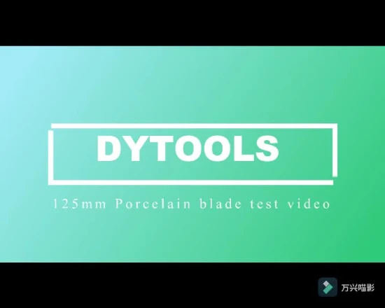 Professional Diamond Tools Circular Saw Blade for Granite Marble Tile Porcelain Cutting